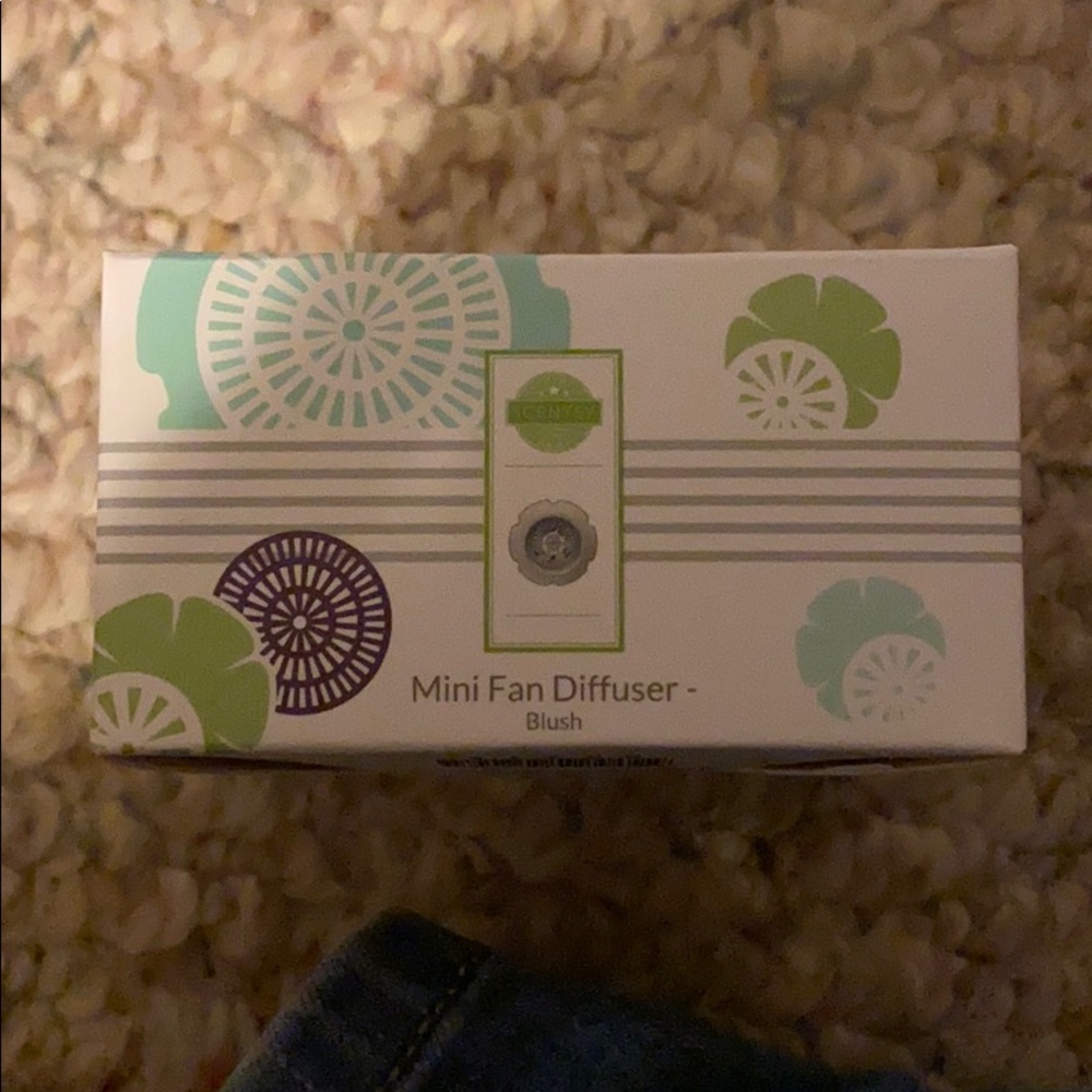 Mini Fan Diffuser - Blush